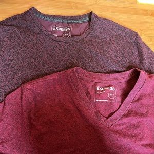 Express XS stretch t shirts burgundy and leaf print purple